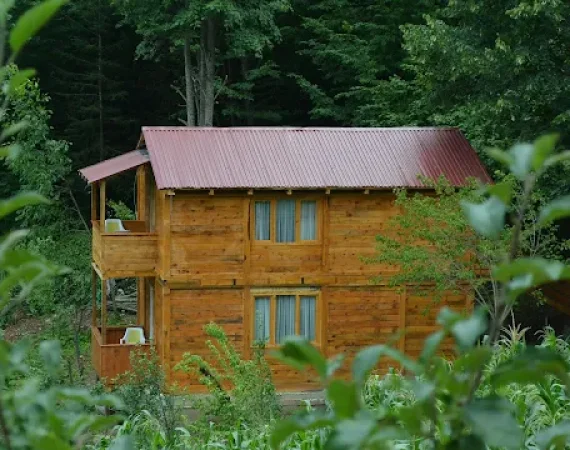 Dağ Evi Bahçe